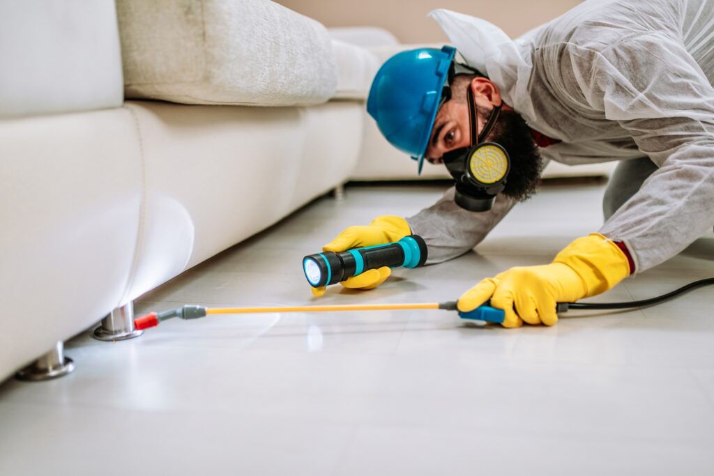 La Quinta Termite Control