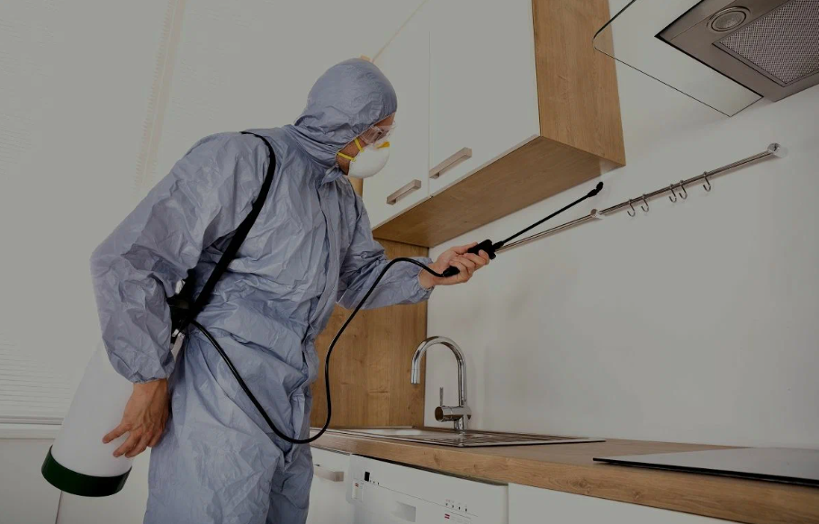La Quinta pest managment